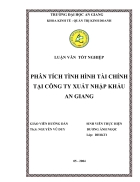 Phân tích tình hình tài chính tại công ty xuất nhập khẩu