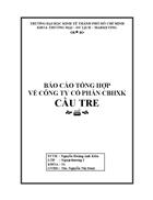 Báo cáo tổng hợp về công ty cổ phần cbhxk cầu tre