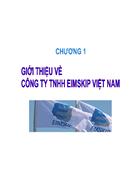 Giới thiệu về công ty TNHH EIMSKIP VIỆT NAM