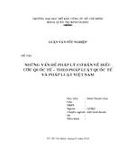 Những vấn đề pháp lý cơ bản về điều ước quốc tế theo pháp luật quốc tế và pháp luật việt nam