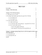 FII ở Việt Nam hiện nay