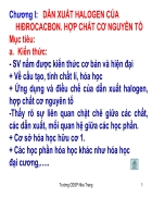 Học phần ii cơ sở hóa học hữu cơ