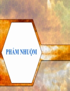 Phẩm nhuộm