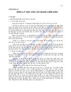 Giáo trình sinh lý học chương 12