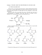 Chuyen hoa ãit nucleic