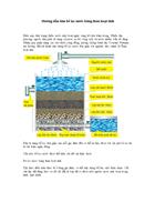 Hướng dẫn làm bể lọc nước bằng than hoạt tính