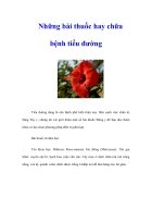 Nhung bai thuoc hay chua benh tieu duong 4489 pdf