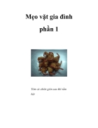 Meo vat gia dinh 1 8058 pdf