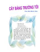 Cây bàng