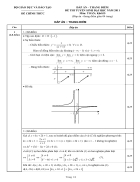 Đáp án Toán khối D