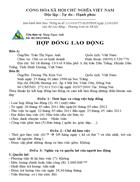 Hop dong lao dong mẫu