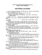 Hop dong lao dong 1