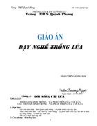 Giáo án nghề trồng lúa