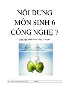 Kế hoạch bộ môn công nghê 7