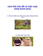 Làm thế nào để có một cuộc sống hạnh phúc