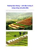 Ruộng bậc thang Nét đặc trưng ở vùng núi rừng phía Bắc Việt Nam