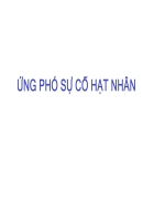 Ứng phó sự cố hạt nhân