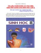 Hinh anh Sinh Hoc 8