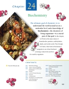 Ch24 Bioorganic chemistry