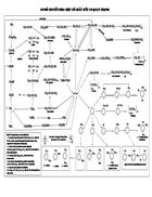 Sơ đồ chuyển hóa các chất hữu cơ quan trọng