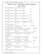 Ôn TN Amin Amino axit Protein