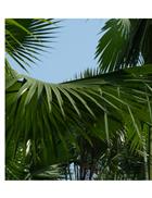 Kỷ niệm về mái TrườngTHCS Đan Hà