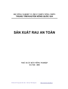 Sản xuất rau an toàn