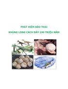 Bào Thai Khủng Long 190 Triệu Năm