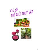 Chủ đề TGTVật