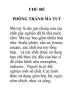 Chong ma tuy