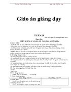 Giáo án tuần 29