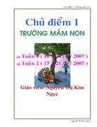 Giáo án chủ điểm 1