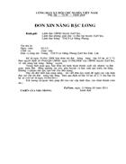 Mẫu đơn xin nâng bậc lương