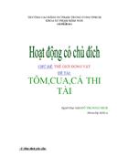 Tom cua ca thi tai