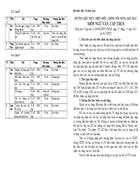 Điều cỉnh VĂN 2011