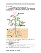 Hoocmoon thực vật