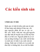 Các kiểu sinh sản