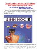 Bo tranh Sinh hoc 8 Chuong I