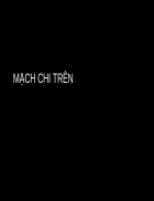 Mach chi tren