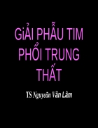 Giải phẩu tim