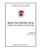 Bia bao cao thanh tich chien sy thi dua nam hoc 2010 2011