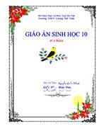 Giao an Sinh 10 Chuan Kien thuc