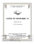 GA sinh 11 3cột cả năm 2010 2011