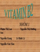 Vitamin B2