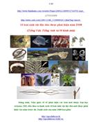 Sinh vật Top 10 new species 2008