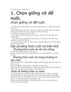 Kỷ thuật nuôi vịt trên khô