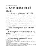 Nghiên cứu về chăn nuôi gia cầm