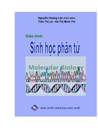 Sinh học phân tử