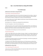 Cơ sở hình thành tư tưởng Hồ Chí Minh