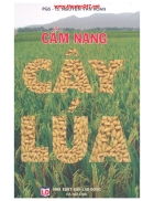 Cẩm nang cây lúa